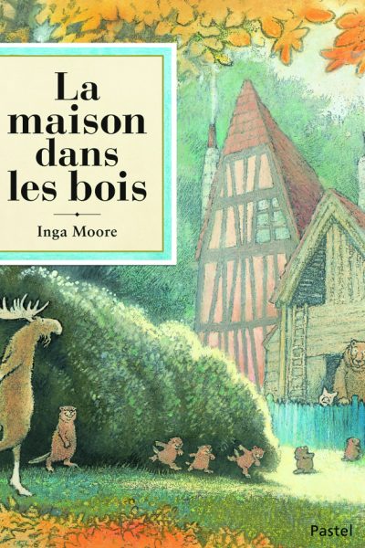 LA MAISON DANS LES BOIS