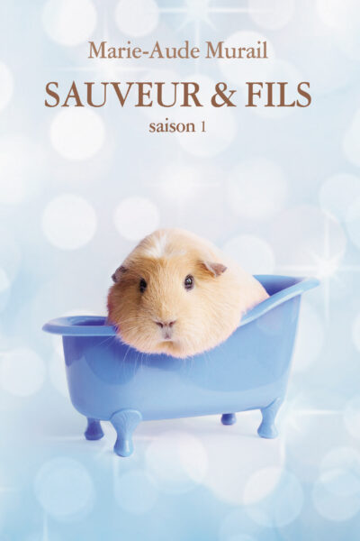 SAUVEUR ET FILS SAISON 1 GRAND FORMAT