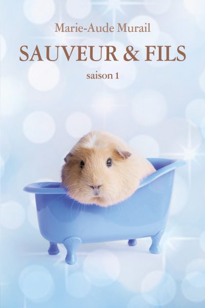 SAUVEUR & FILS SAISON 1