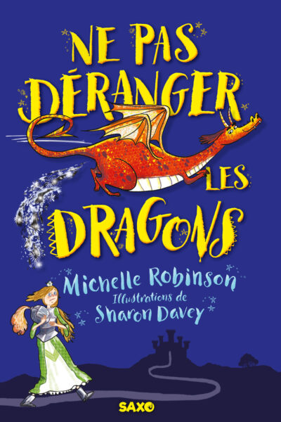 NE PAS DERANGER LES DRAGONS (BROCHE) - TOME 01