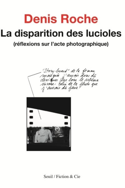 DISPARITION DES LUCIOLES. REFLEXIONS SUR L'ACTE PHOTOGRAPHIQUE (LA)