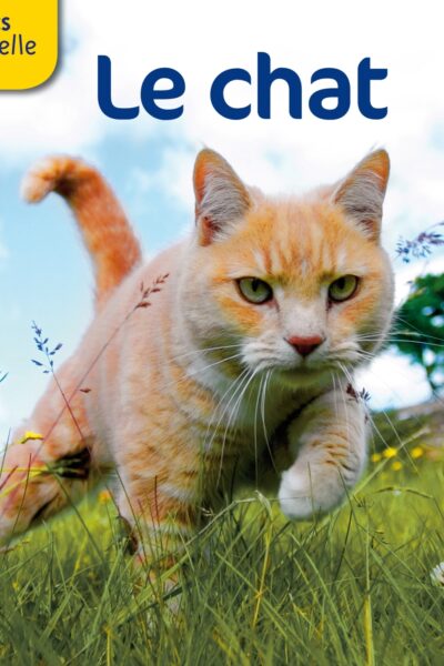 LES DOCS RIBAMBELLE CYCLE 2 ED. 2012 - LE CHAT