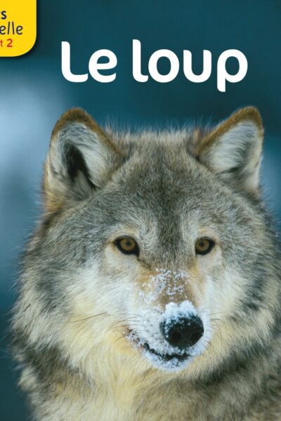 LE LOUP - LES DOCS RIBAMBELLE CYCLE 2