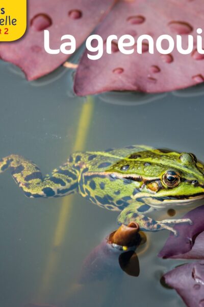 LA GRENOUILLE  - LES DOCS RIBAMBELLE CYCLE 1 ET 2