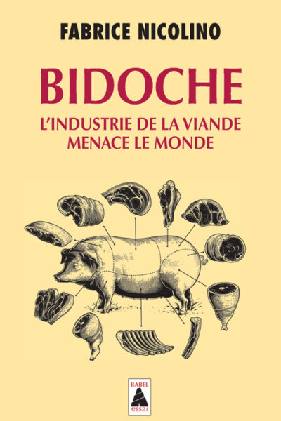 BIDOCHE    1029