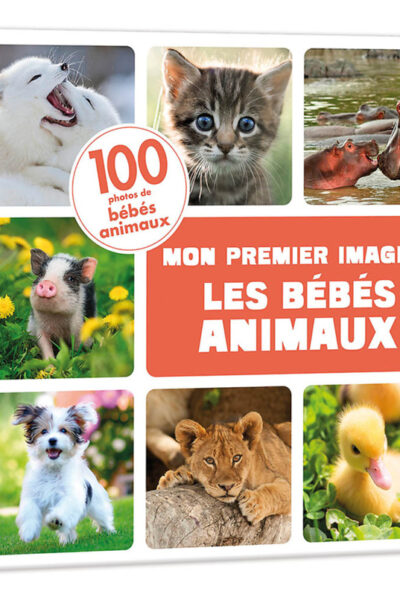 LES BEBES ANIMAUX
