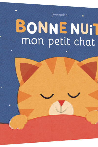 BONNE NUIT MON PETIT CHAT !