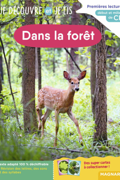 JE DECOUVRE ET JE LIS CP - DANS LA FORET - DEBUT ET MILIEU DE CP