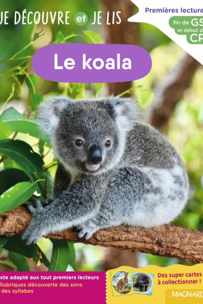 JE DECOUVRE ET JE LIS GS ET CP - LE KOALA