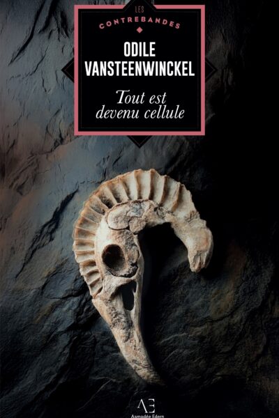 IAD    TOUT EST DEVENU CELLULE