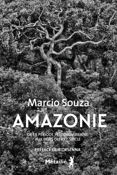 AMAZONIE - DE LA PERIODE PRECOLOMBIENNE AUX DEFIS DU 21E SIECLE