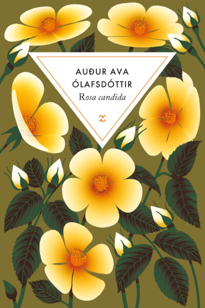 ROSA CANDIDA - EDITION COLLECTOR