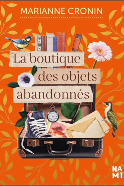 LE MAGASIN DES OBJETS ABANDONNES