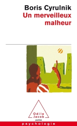 UN MERVEILLEUX MALHEUR    78