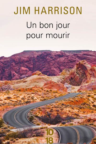 UN BON JOUR POUR MOURIR    1988