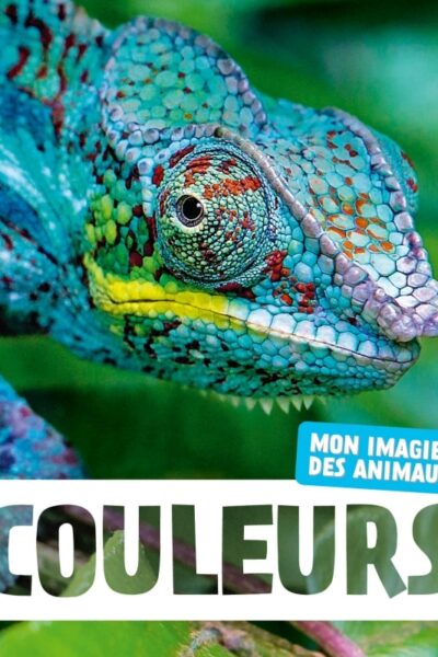 COULEURS NE