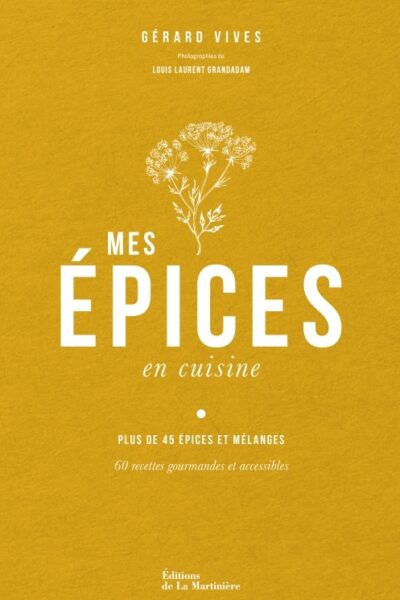 MES EPICES EN CUISINE. 60 RECETTES POUR APPRENDRE A CONNAITRE ET CUISINER LES EPICES