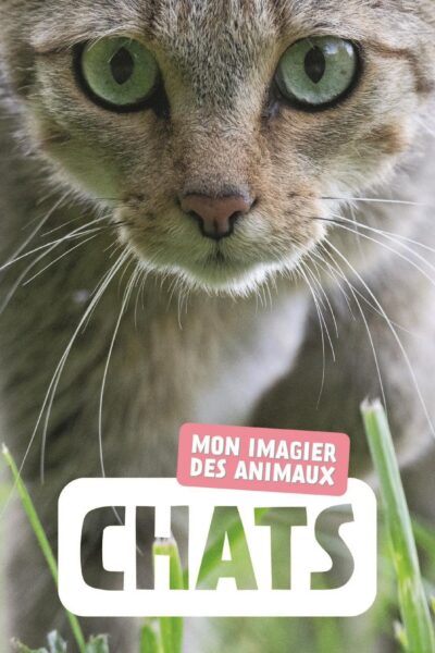 CHATS