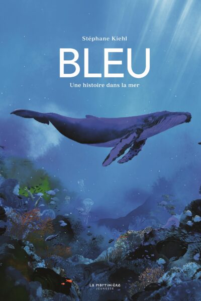 BLEU, UNE HISTOIRE DANS LA MER