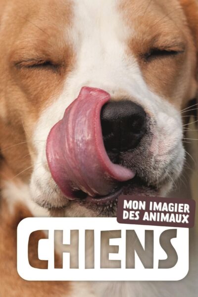 CHIENS