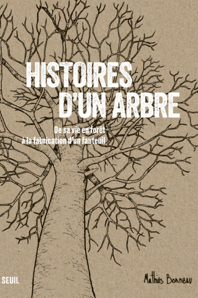 HISTOIRES D'UN ARBRE. DE SA VIE EN FORÊT À LA FABRICATION D'UN FAUTEUIL