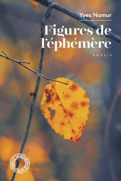 FIGURES DE L'EPHEMERE