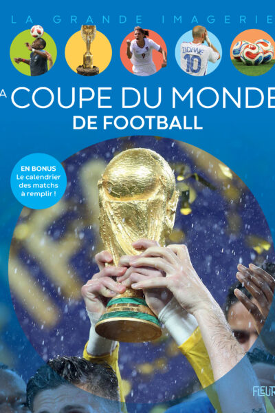 LA COUPE DU MONDE DE FOOTBALL