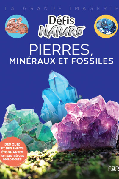 DEFIS NATURE : PIERRES, MINERAUX ET FOSSILES