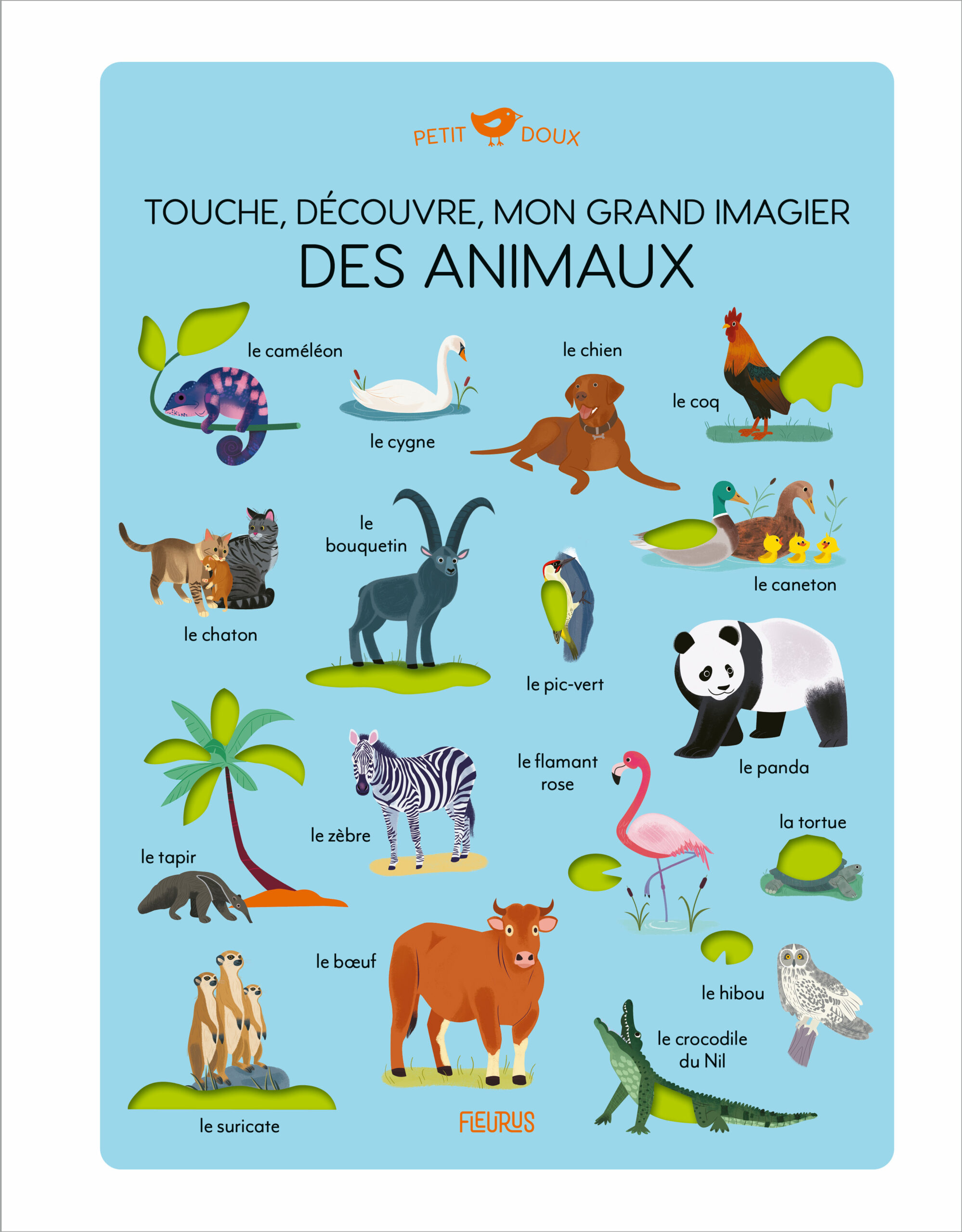TOUCHE, DECOUVRE, MON GRAND IMAGIER DES ANIMAUX - PETIT DOUX