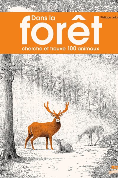 DANS LA FORÊT - CHERCHE ET TROUVE 100 ANIMAUX