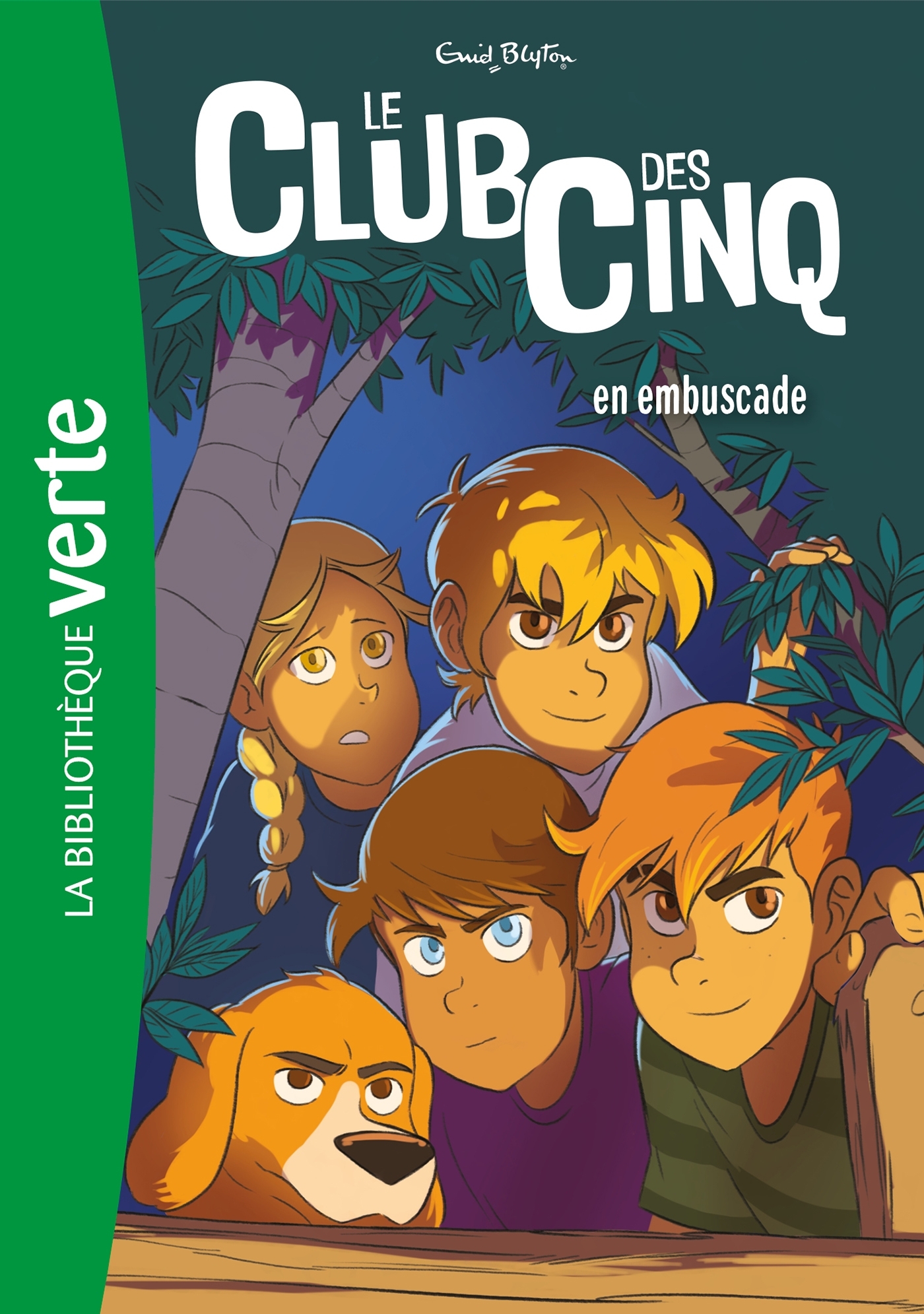 LE CLUB DES CINQ T21 EN EMBUSCADE NED