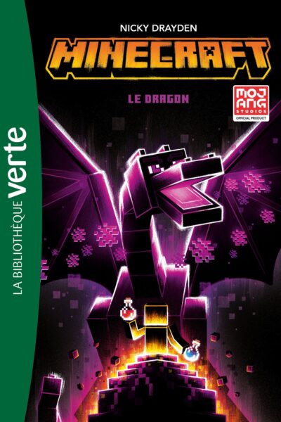 MINECRAFT T02 LE DRAGON
