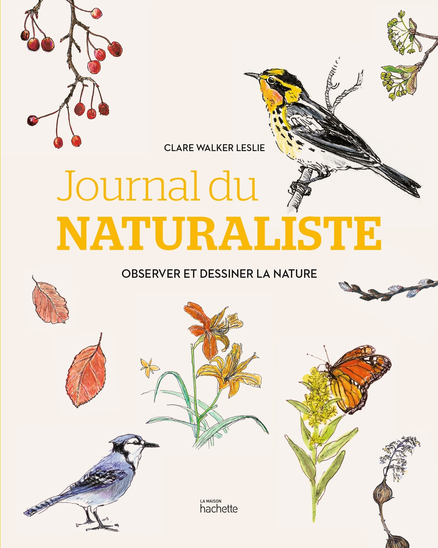 JOURNAL DU NATURALISTE - OBSERVER ET DESSINER LA NATURE