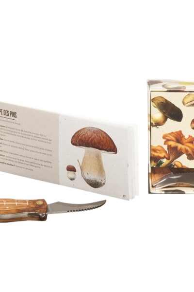 COFFRET LA CUEILLETTE AUX CHAMPIGNONS