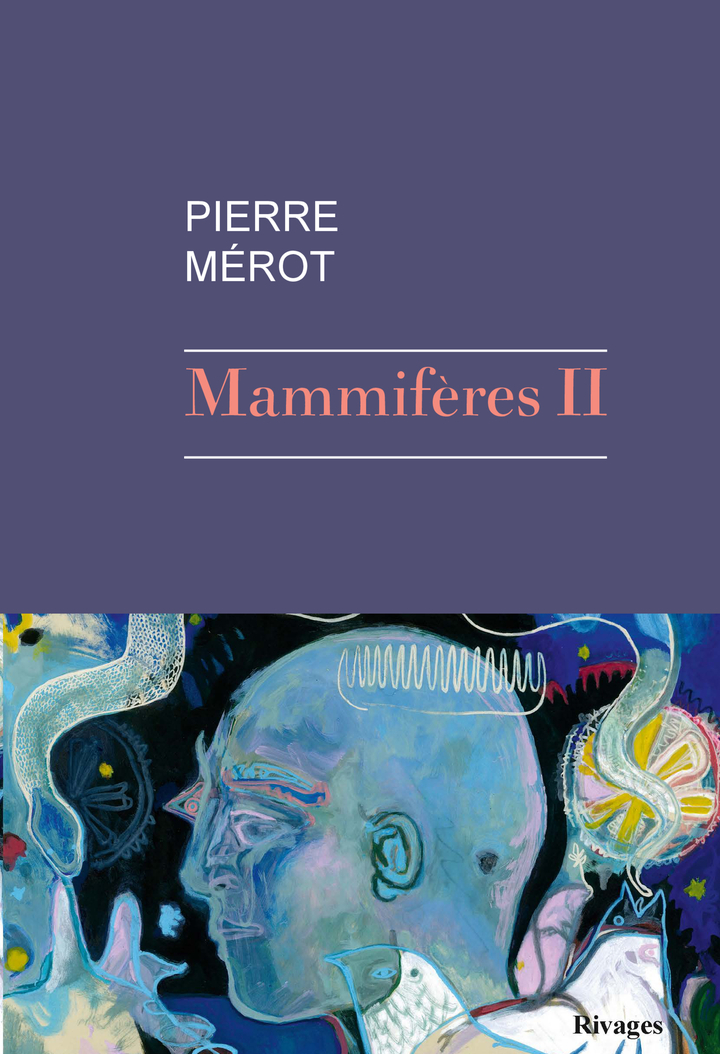 MAMMIFERES II