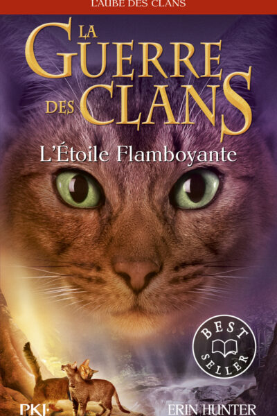 LA GUERRE DES CLANS CYCLE V T04 L'ETOILE FLAMBOYANTE