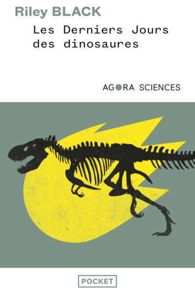 LES DERNIERS JOURS DES DINOSAURES - UN ASTEROIDE, UNE EXTINCTION SPECTACULAIRE, ET LA NAISSANCE DE N