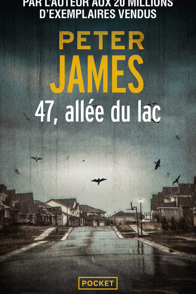 47, ALLEE DU LAC