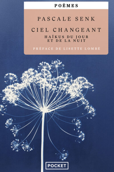 CIEL CHANGEANT - HAÏKUS DU JOUR ET DE LA NUIT