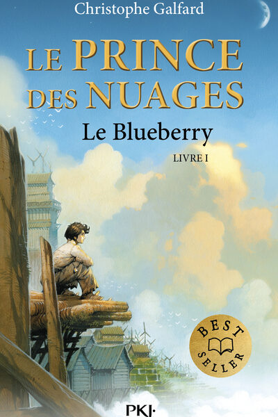 1. LE PRINCE DES NUAGES : LE BLUEBERRY, OFFRE DECOUVERTE