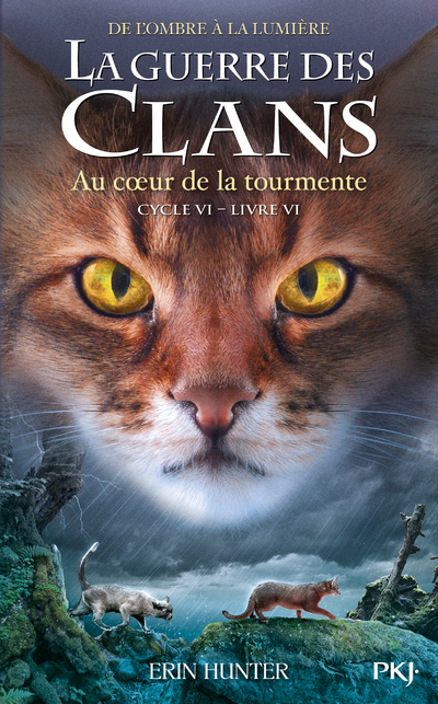 LA GUERRE DES CLANS CYCLE VI T6 AU COEUR DE LA TOURMENTE VOL36