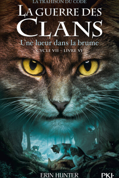LA GUERRE DES CLANS CYCLE VII T06 UNE LUEUR DASN LA BRUME
