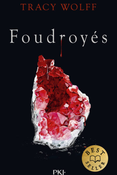 ASSOIFFES T02 FOUDROYES