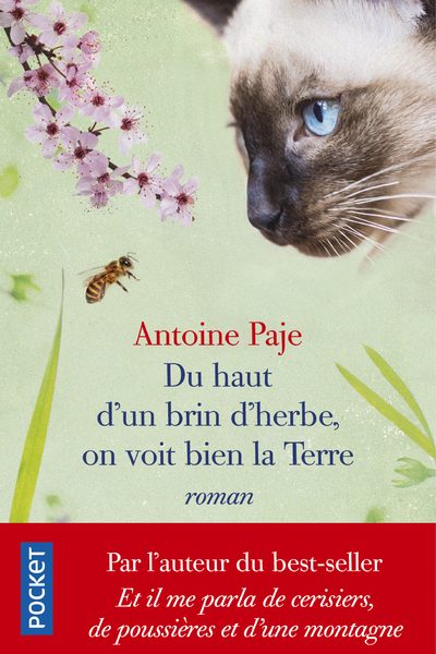 DU HAUT D'UN BRIN D'HERBE, ON VOIT BIEN LA TERRE