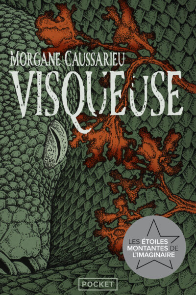 VISQUEUSE