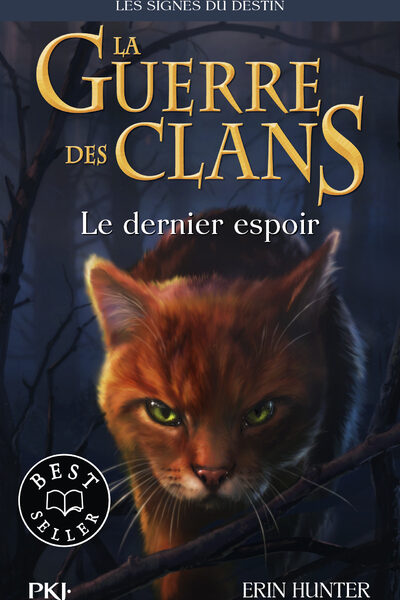 LA GUERRE DES CLANS, CYCLE IV T06 LE DERNIER ESPOIR