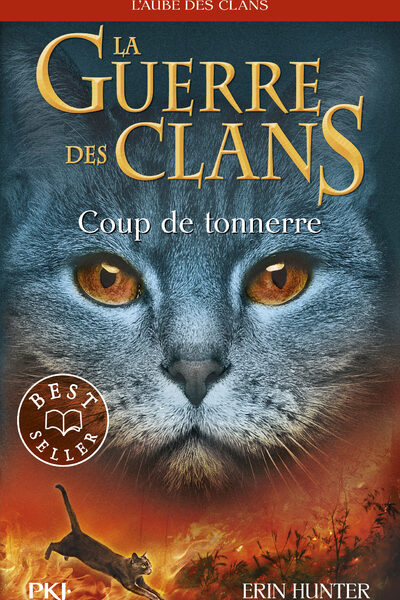 LA GUERRE DES CLANS CYCLE V T02 COUP DE TONNERRE