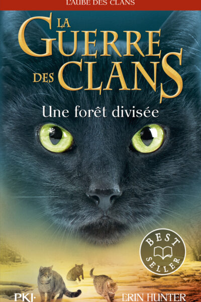LA GUERRE DES CLANS CYCLE V L'AUBE DES CLANS T05 UNE FORÊT DIVISEE
