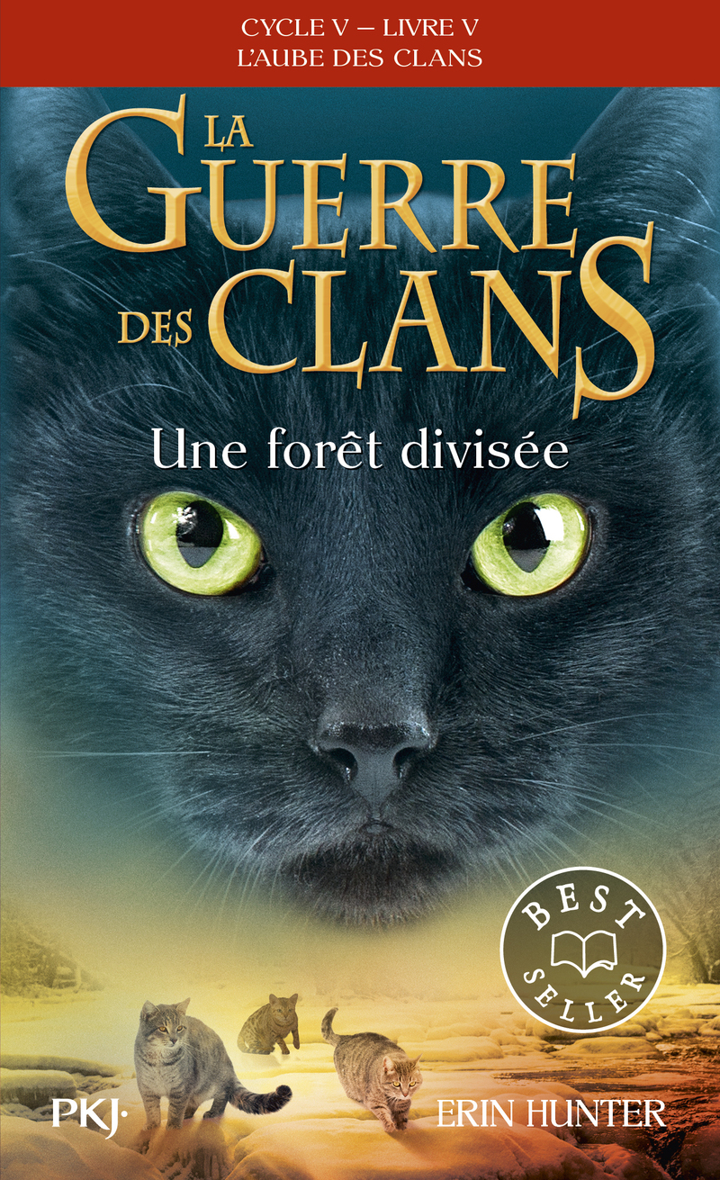 LA GUERRE DES CLANS CYCLE V L'AUBE DES CLANS T05 UNE FORÊT DIVISEE