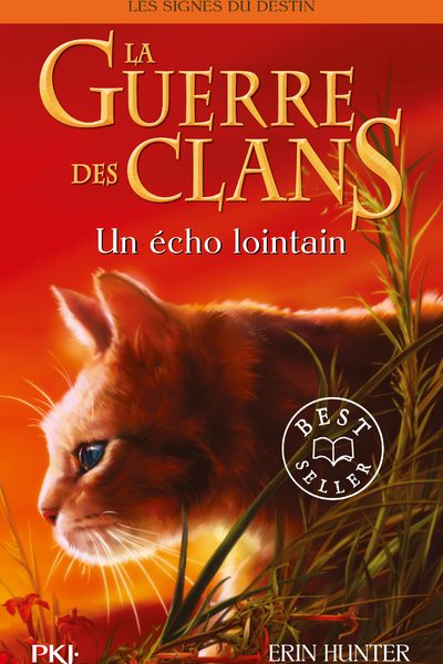 LA GUERRE DES CLANS CYCLE IV T02 UN ECHO LOINTAIN